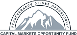 CAPITAL MARKETS OPPORTUNITY FUND logo